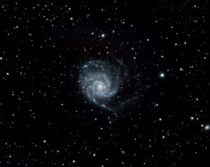 M101                       
